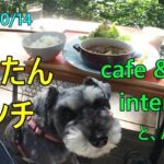 パラダお散歩 と、cafe & interior L