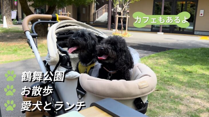 【ペット可カフェ】愛犬と行けるランチ&散歩in名古屋の鶴舞公園