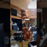 ウッドベース映え〜　 #jazz #shorts #music #cafe #doublebass