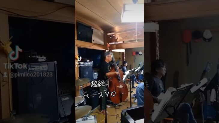 ウッドベース映え〜　 #jazz #shorts #music #cafe #doublebass