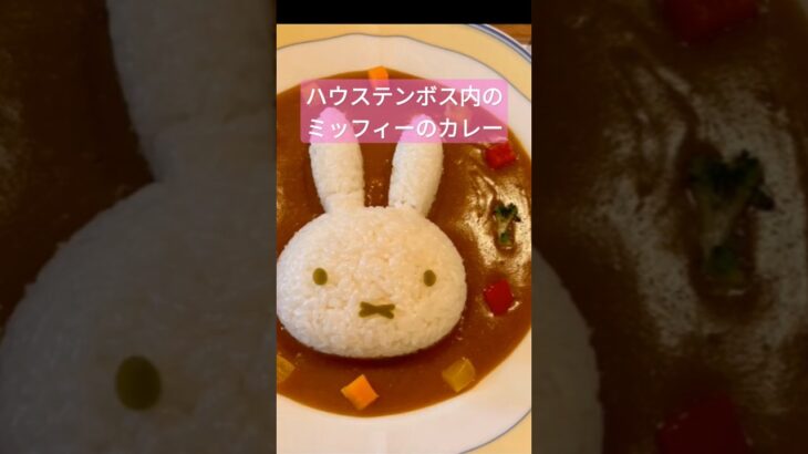 ハウステンボス内のカレー『ナインチェ・カフェ』#ハウステンボス内#ナインチェカフェ#ミッフィー#長崎かれー#長崎カレー#しハウステンボスグルメ#長崎グルメ#シャム猫#ねこ#ネコ#猫