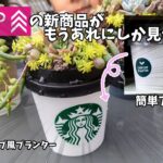 【ダイソー新商品】カフェカップ風プランターをスタバカップ風に映えアレンジして多肉の寄せ植え作るよ♪【にじいろクックママ】