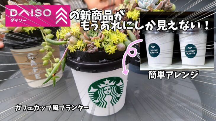 【ダイソー新商品】カフェカップ風プランターをスタバカップ風に映えアレンジして多肉の寄せ植え作るよ♪【にじいろクックママ】