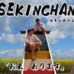 [Malaysia]Sekinchan Day Trip|セキンチャンは米どころで有名|洒落カフェや写真映えスポット||Trendy cafés ＆ photo-op spot|2H from KL