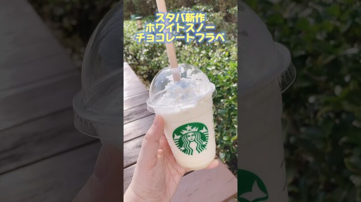 発売日に飲めた❄️ #しらすのグルメ #グルメ #カフェ #cafe #スタバ #starbucks #新作 #フラペチーノ