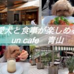 愛犬と食事が楽しめるun cafe アンカフェ　青山