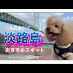 【犬とお出かけ】日帰りで行ける淡路島おすすめスポット　　　　　　　　グルメ・カフェ・映えスポット🐶