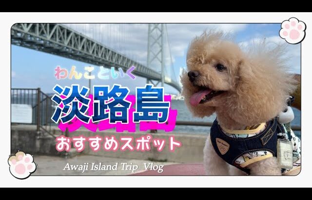 【犬とお出かけ】日帰りで行ける淡路島おすすめスポット　　　　　　　　グルメ・カフェ・映えスポット🐶