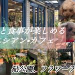 愛犬と食事が楽しめる ニシアン カフェ／東京都立砧(きぬた)公園近く