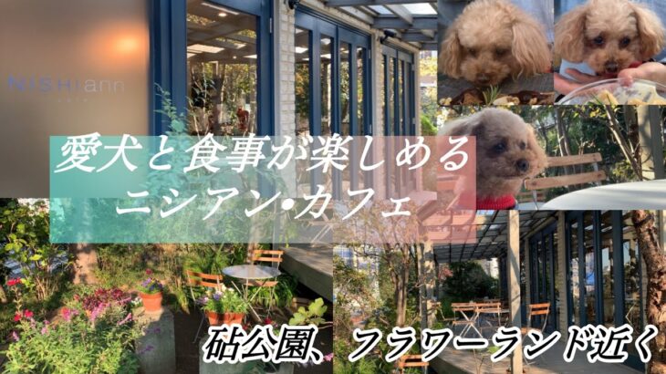 愛犬と食事が楽しめる ニシアン カフェ／東京都立砧(きぬた)公園近く