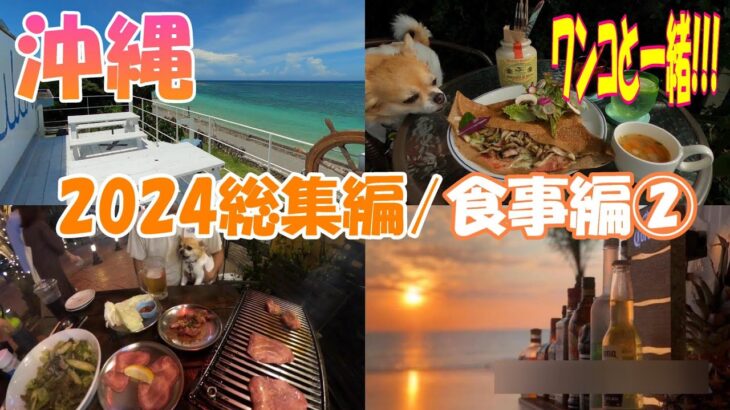 2024の沖縄旅行！犬とペット可の食事BEST WAY②