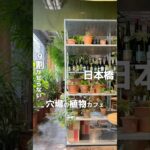 9割の人が知らない？穴場の植物カフェ！ #shorts #coffee #cafe #tokyo #コーヒー #カフェ #植物カフェ #植物