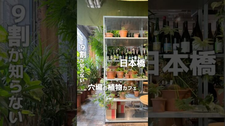 9割の人が知らない？穴場の植物カフェ！ #shorts #coffee #cafe #tokyo #コーヒー #カフェ #植物カフェ #植物