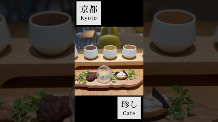 【京都/kyoto cafe】二条城近くのちょっと珍しい飲みやすい健康茶の生薬カフェ#shorts #kyoto #京都 #京都カフェ #穴場 #café #cafe