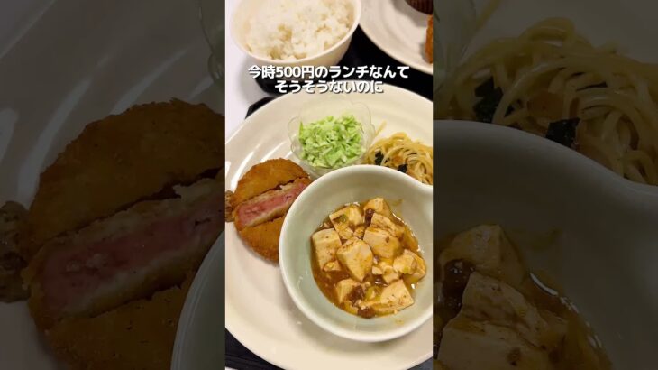 【ドッグカフェで衝撃の『わんコインランチ』!?】新潟グルメ【公式】#新潟　#新潟グルメ　#新潟観光   #niigata　#shorts  #yummy  #pr  #新潟グルメ【公式】