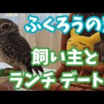 ふくろうの空🦉久しぶりに空と、ココカフェさんにランチに行きます🦉💕