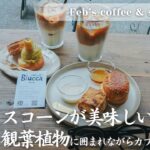 【#蔵前 #東京カフェ巡り 】Feb’s coffee & scone　【vlog / 4k】