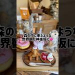 映えカフェIn 神楽坂