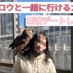 【フクロウ】ゆめちゃんと新宿のカフェ行って来たよ！【梟】I went on a date in Shinjyuku.【ペット可レストラン】【owl】フクロウと行けるカフェ♡