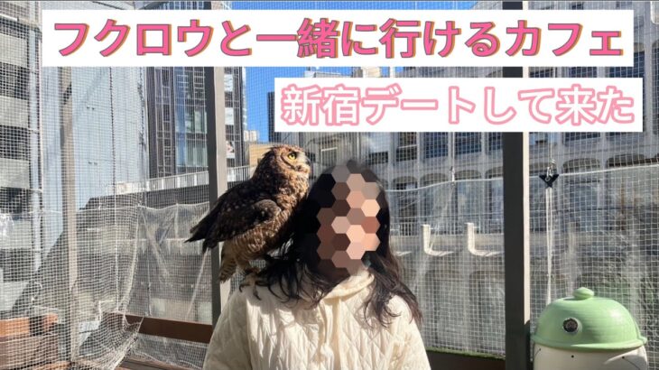 【フクロウ】ゆめちゃんと新宿のカフェ行って来たよ！【梟】I went on a date in Shinjyuku.【ペット可レストラン】【owl】フクロウと行けるカフェ♡