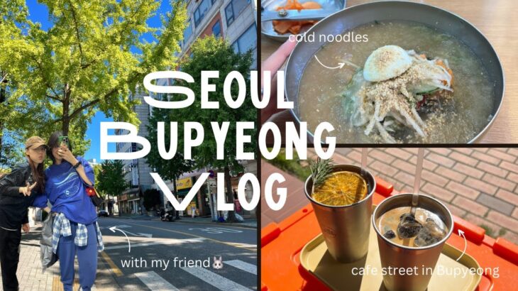 【📸Seoul Vlog🥐】穴場カフェスポット発見｜富平区庁駅｜葛冷麺｜古着屋｜帰国日の様子｜Part2!