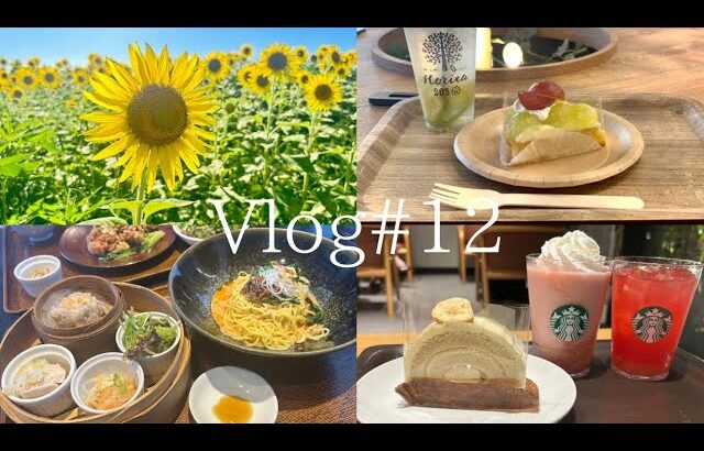 Vlog # 12（カフェ／ビアガーデン／ランチ／花火大会／ひまわり畑／UNIQLO購入品）